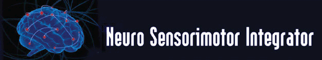 RKB Instruments NSI - Neuro Sensorimotor Integrator